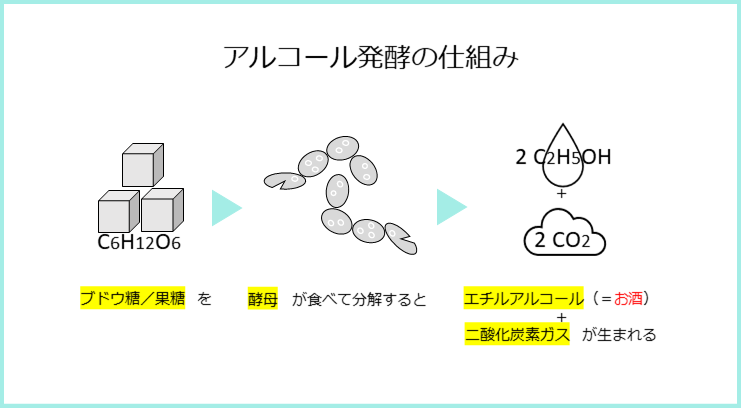 アルコール発酵の仕組み